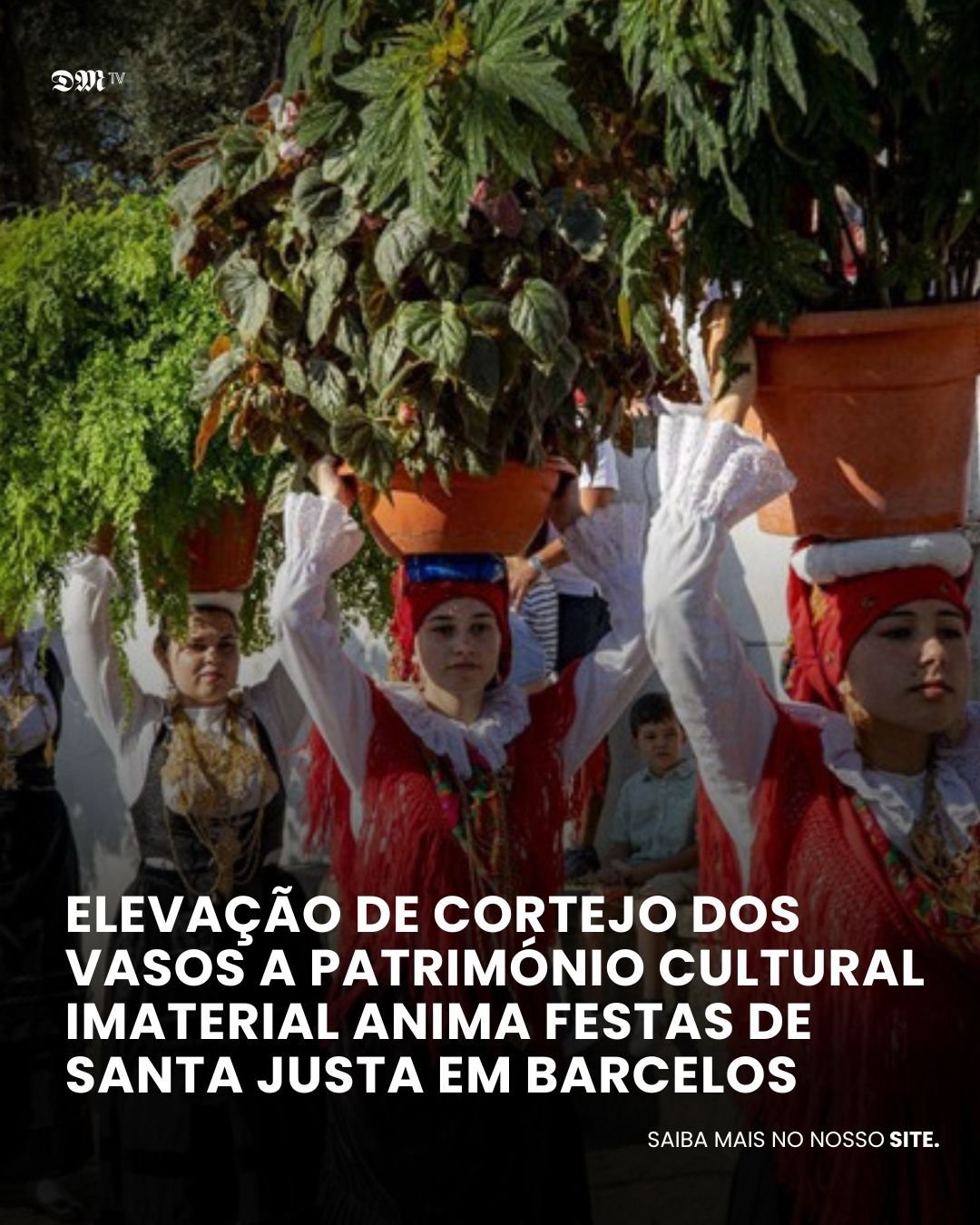 Elevação de Cortejo dos Vasos a património cultural imaterial anima ...
